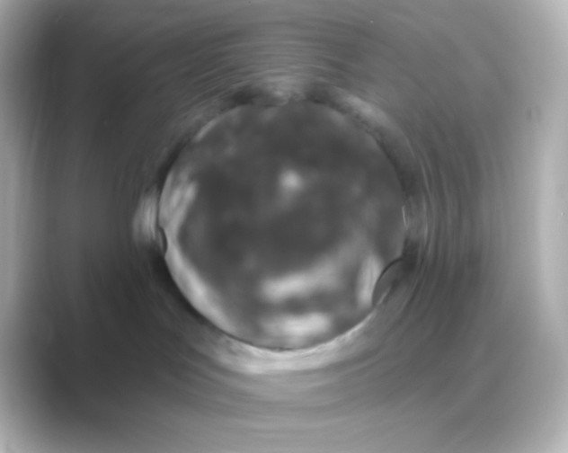 X0000088710047200706212010