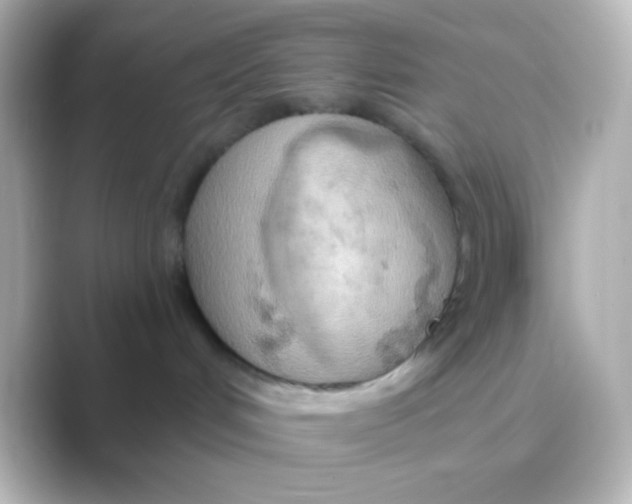 X0000088710048200706212010