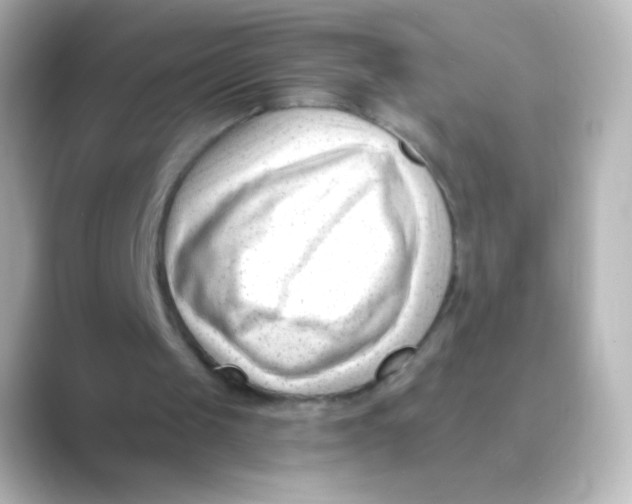 X0000088710049200706212010