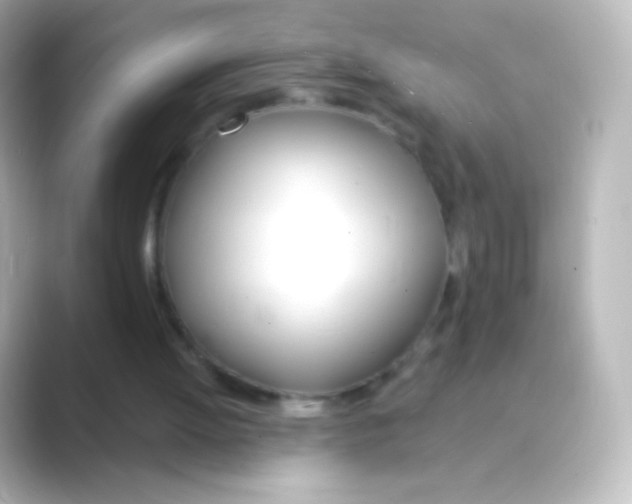 X0000088710052200706212010