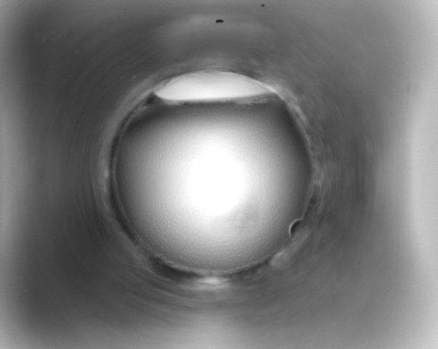 X0000088710053200706212010