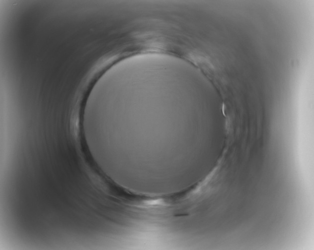 X0000088710054200706212010