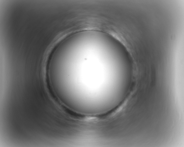 X0000088710055200706212010