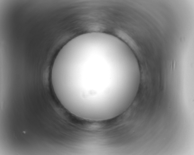 X0000088710058200706212010