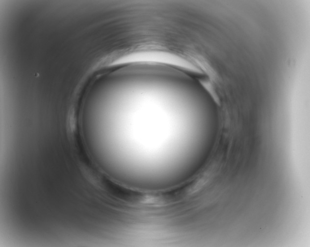 X0000088710060200706212010