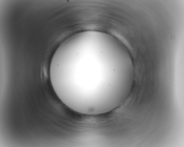 X0000088710062200706212010