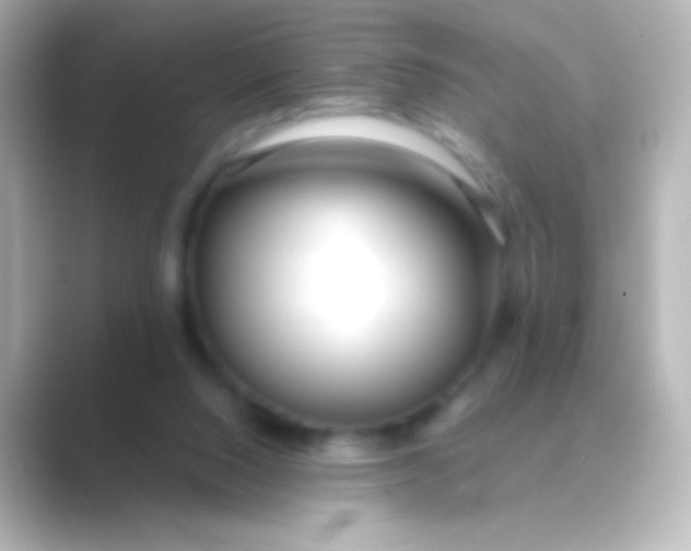 X0000088710064200706212010