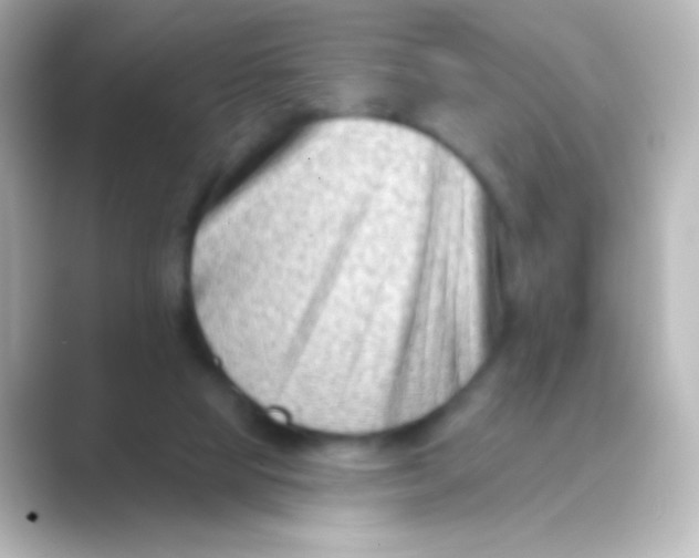 X0000088710065200706212010