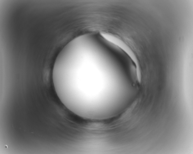 X0000088710066200706212010