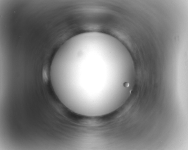 X0000088710069200706212010