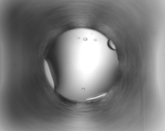 X0000088710070200706212010