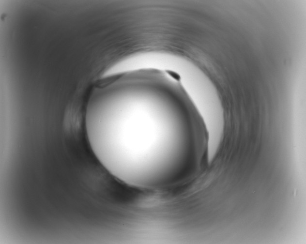 X0000088710072200706212010