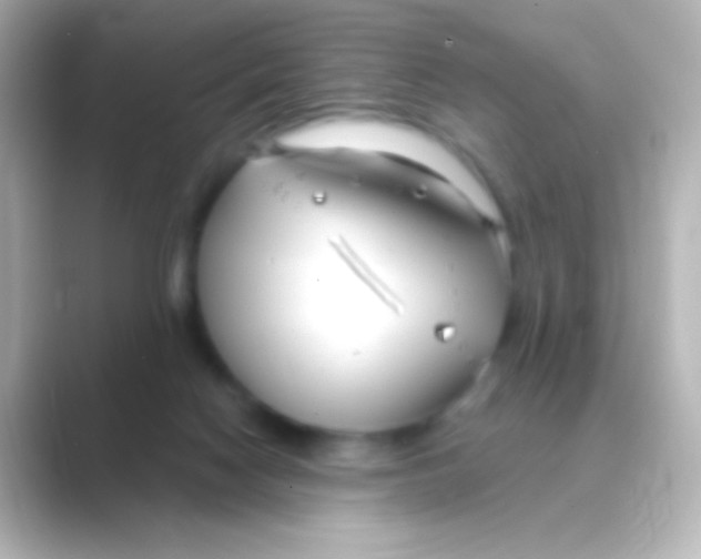 X0000088710074200706212010