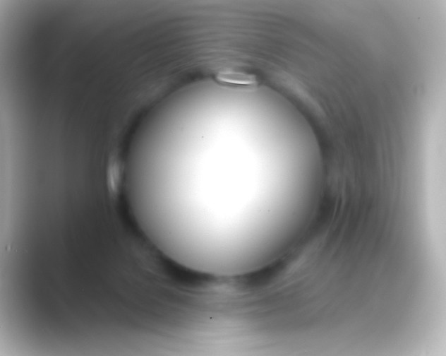 X0000088710076200706212010