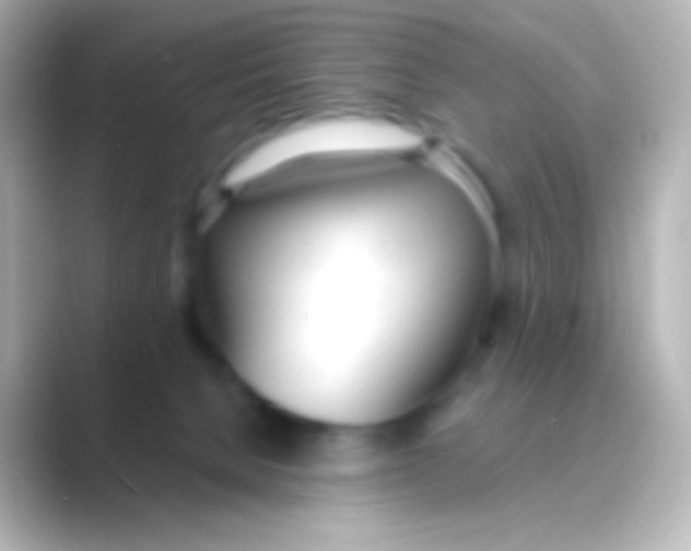 X0000088710080200706212010