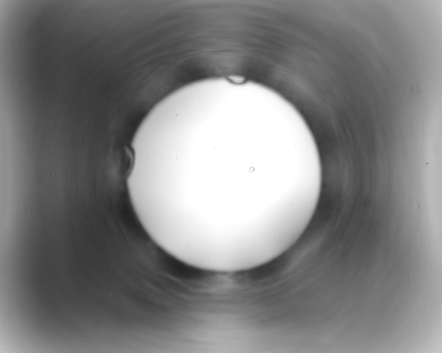 X0000088710083200706212010