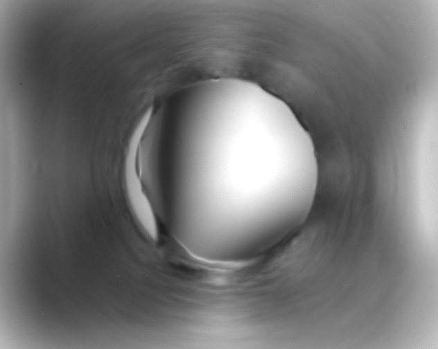 X0000088710088200706212010