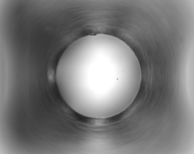 X0000088710089200706212010