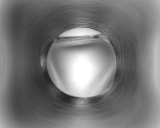 X0000088710094200706212010