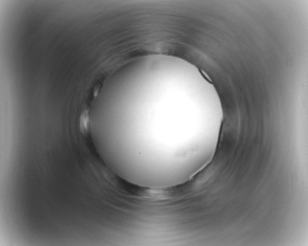 X0000088710095200706212010