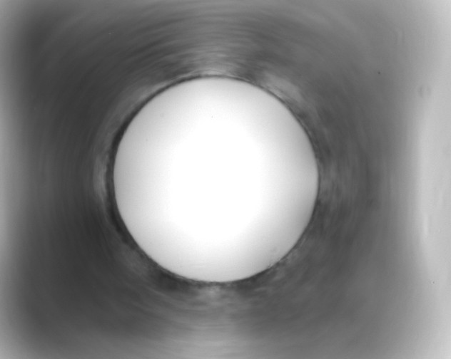 X0000088710098200706212010