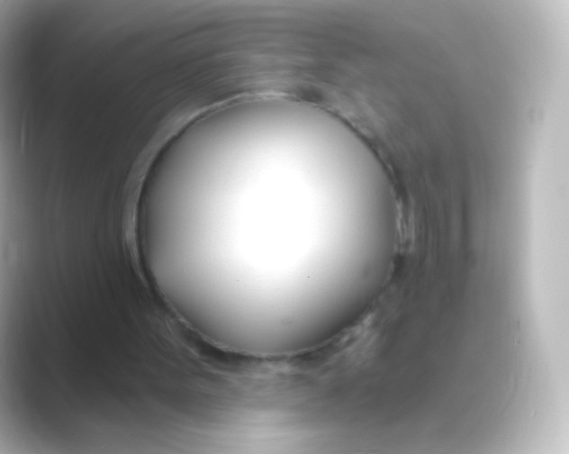 X0000088710099200706212010