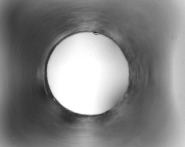 X0000088710100200706212010