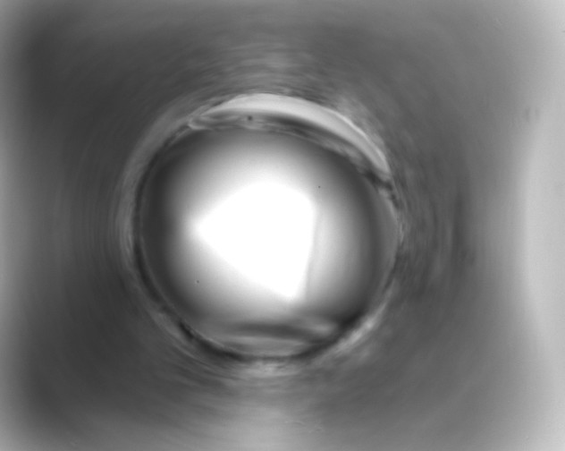 X0000088710101200706212010