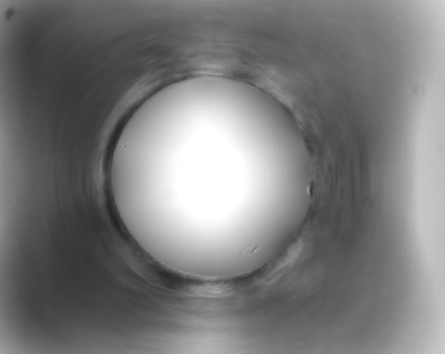 X0000088710102200706212010