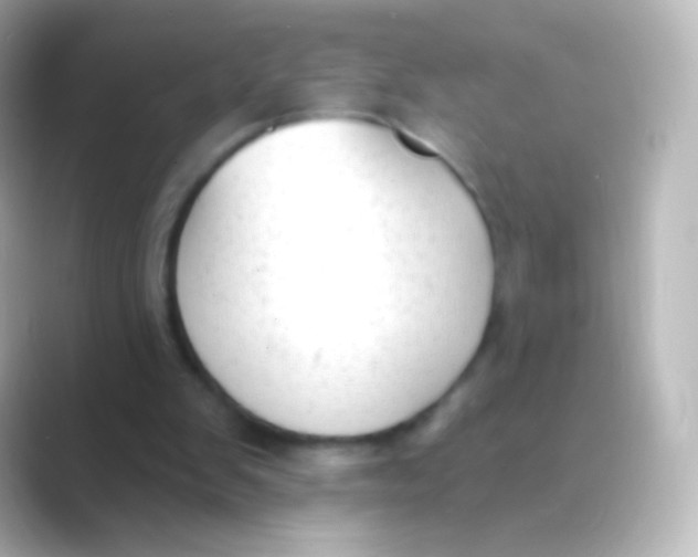 X0000088710103200706212010