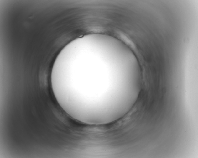 X0000088710106200706212010