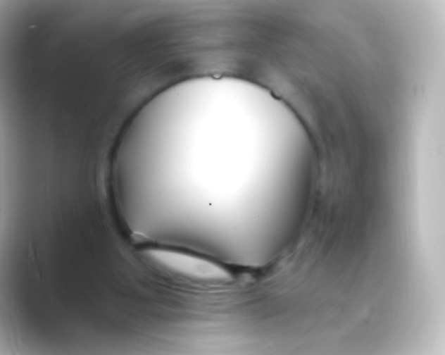 X0000088710107200706212010