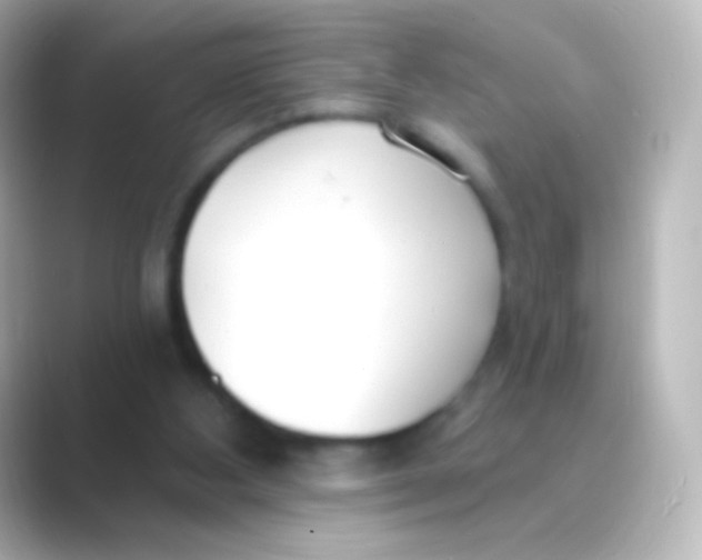 X0000088710108200706212010