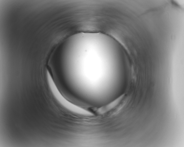 X0000088710109200706212010