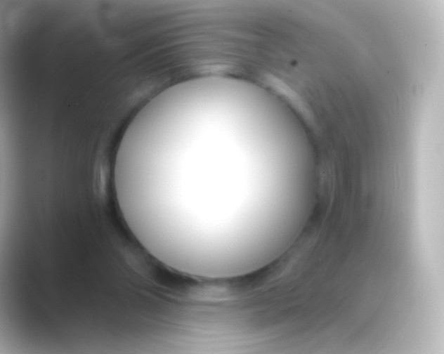 X0000088710110200706212010