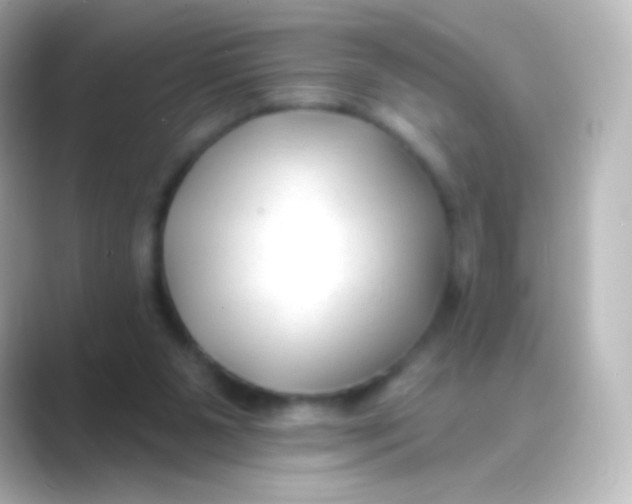 X0000088710111200706212010