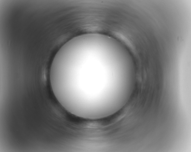 X0000088710115200706212010