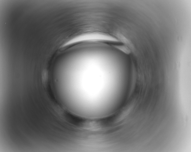 X0000088710117200706212010