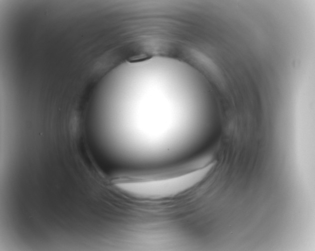 X0000088710121200706212010