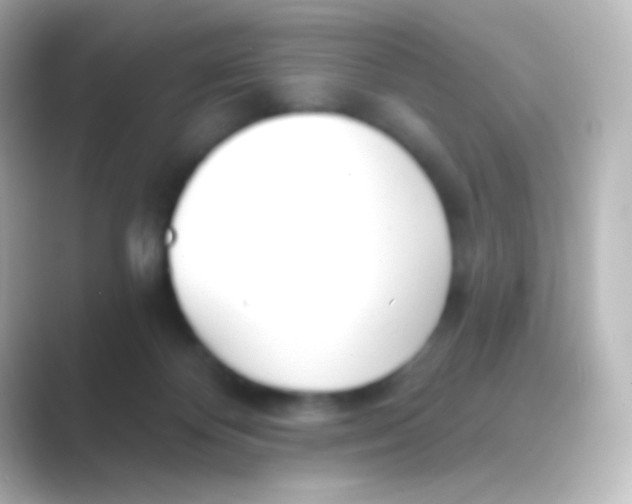 X0000088710124200706212009