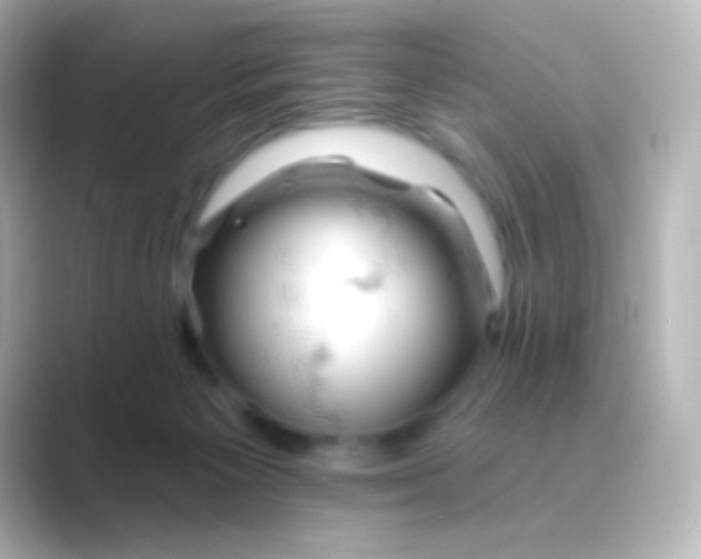 X0000088710125200706212009