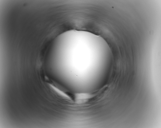 X0000088710129200706212009