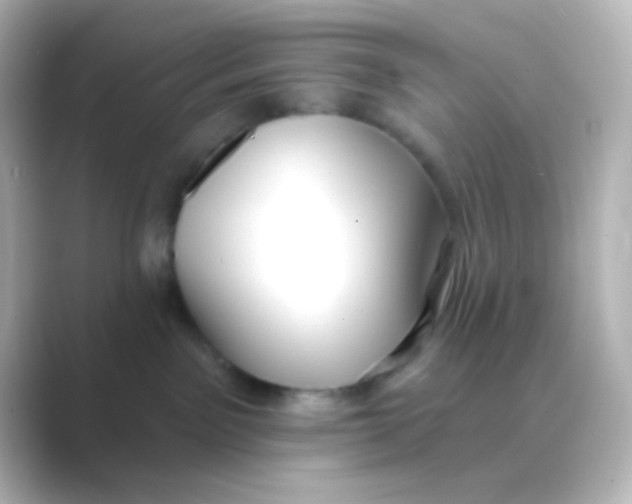 X0000088710141200706212009