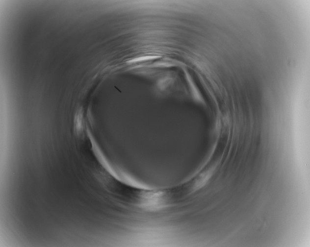 X0000088710143200706212009