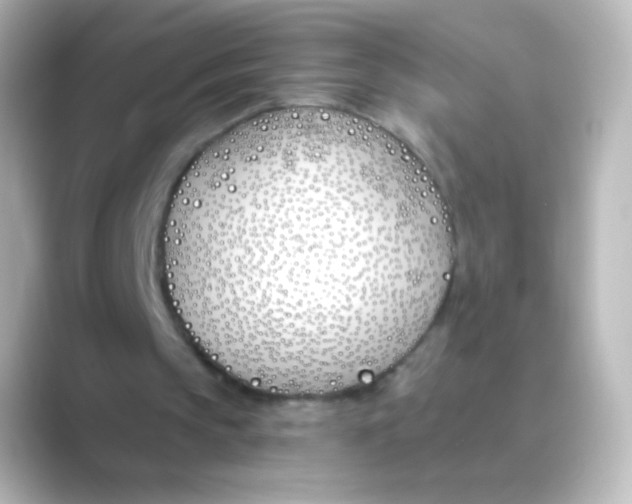 X0000088710145200706212009