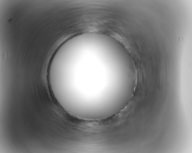 X0000088710147200706212009