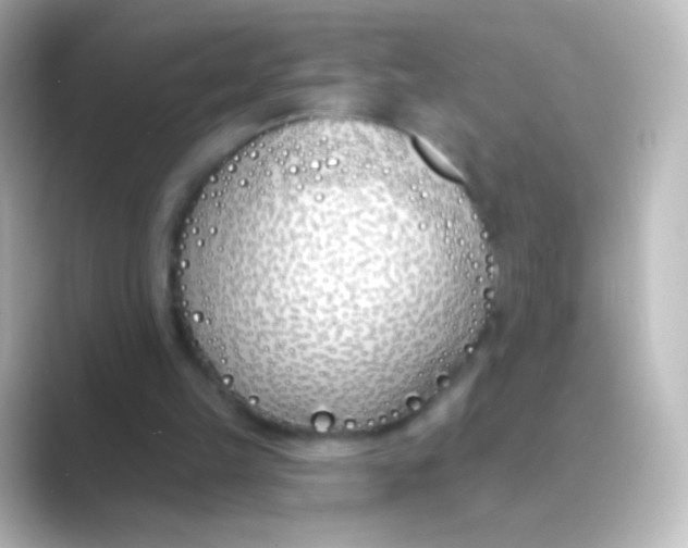 X0000088710149200706212009