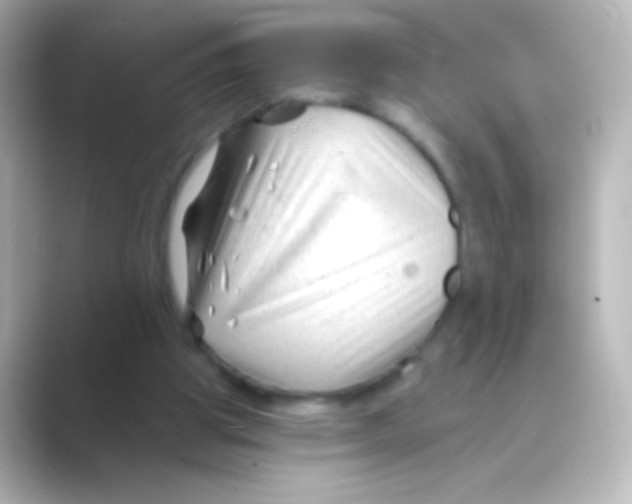 X0000088710153200706212009