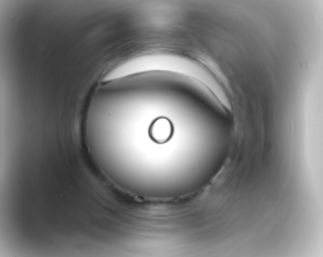 X0000088710154200706212009