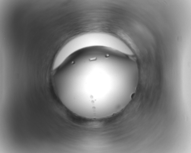 X0000088710161200706212009